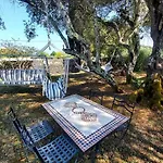 Apartament Mimosa Garden 4b *