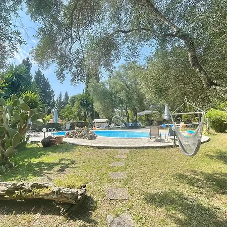 Mimosa Garden 4b * جوفيا